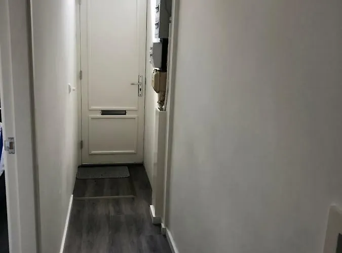 Poelgeeststraat * 莱顿