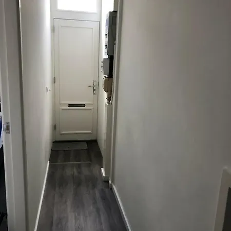 Poelgeeststraat * Λάιντεν